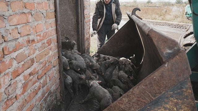 Massive Russian Drone Strike On Agricultural Enterprise In Kharkiv Region 