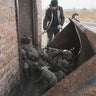 Russian drone attack kills 13,000 pigs in Ukraine, officials say 