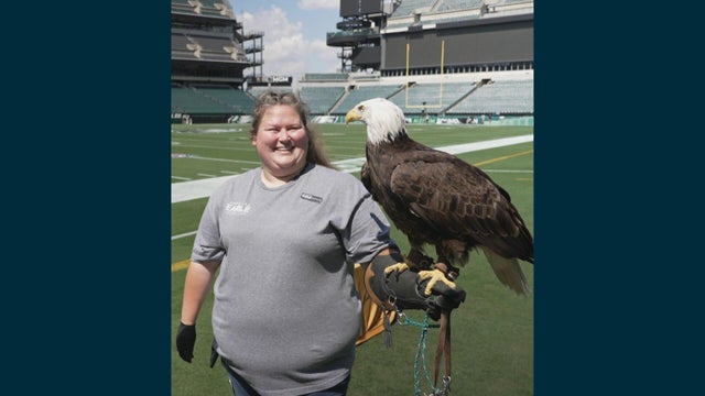17pkg-uw-lincoln-the-eagle-transfer-frame-2286.jpg 