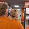 Bowling Green's unlikely new football mascot is attracting a legion of fans 