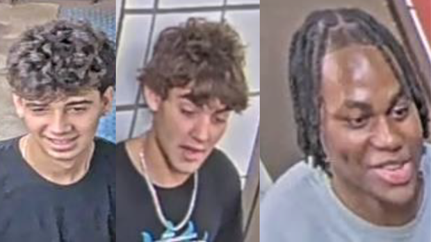 CTA Loop train robbery suspects 