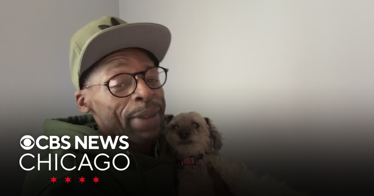 Dog reunited with owner after being missing for a decade - CBS Chicago