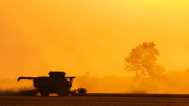 US China Soybeans 