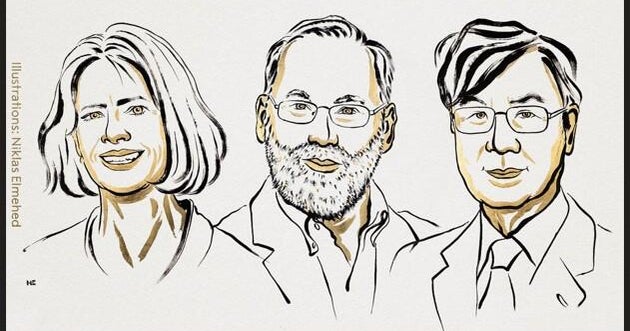3 scientists win Nobel Prize in drugs for discoveries in immunology