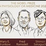3 scientists win Nobel Prize in medicine for discoveries in immunology 