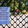 Maryland Food Bank ramps up aid during government shutdown 