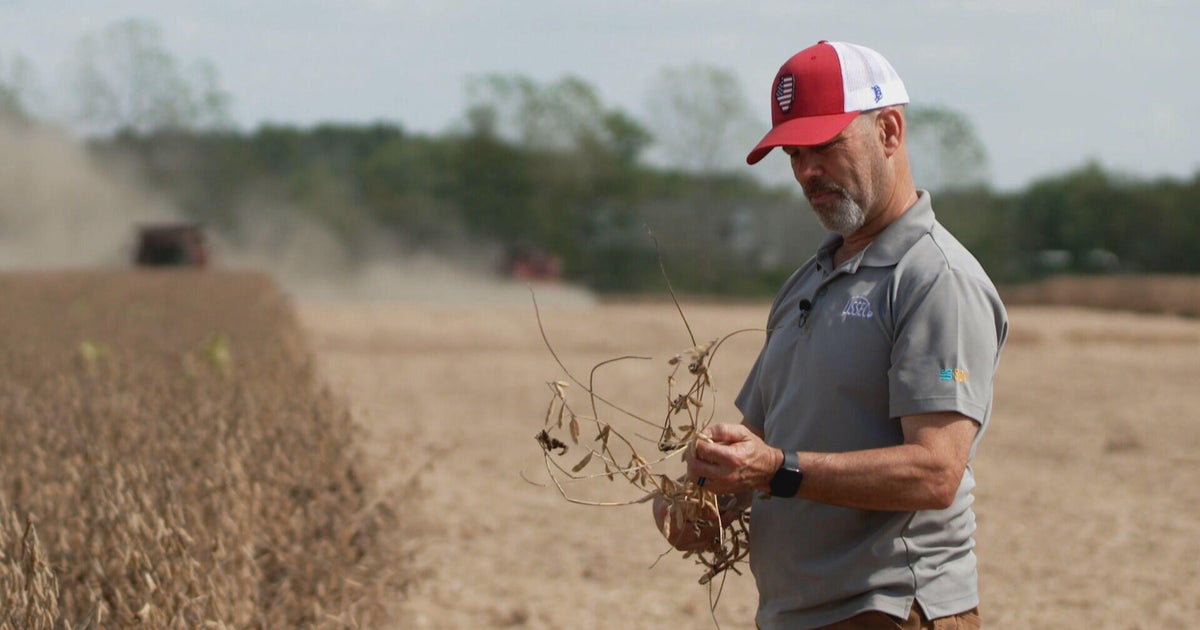 Soybean farmer who backed Trump feels strain of China’s boycott amid trade war