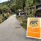 Bear injures 2 in Japanese grocery store, man killed in separate attack