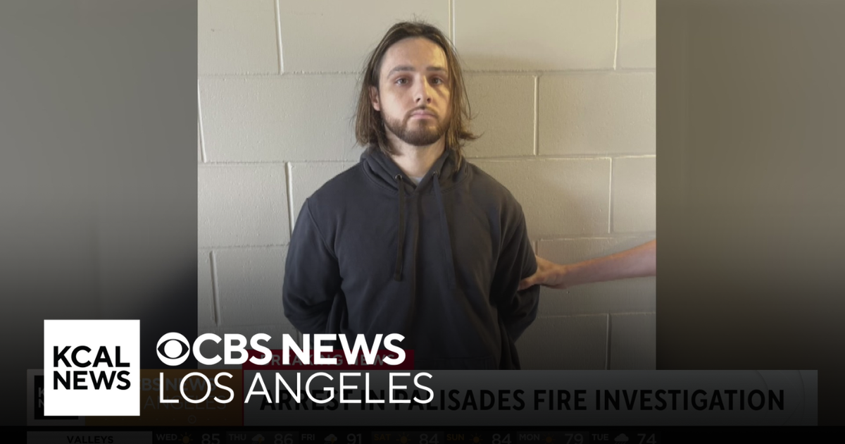 Arrest made in connection with ignition of deadly Palisades Fire in ...