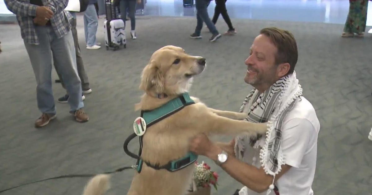 Ohio veteran on Gaza flotilla lands at Detroit Metro Airport after released from Israeli jail