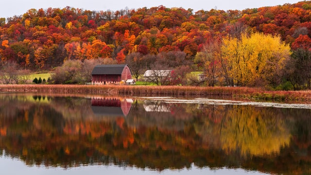 Red Barn And Forest In Autumn Colors, Minneapolis, Minnesota, United States 