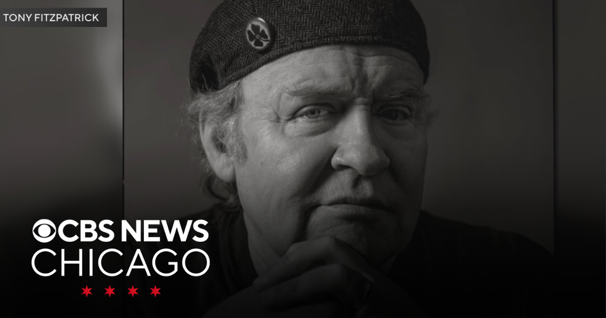 Artist Tony Fitzpatrick dies at 66 - CBS Chicago