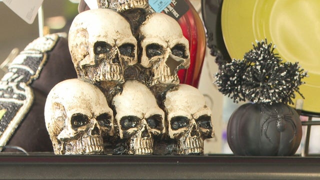 mem-halloween-savings-5vo-transfer-frame-230.jpg 