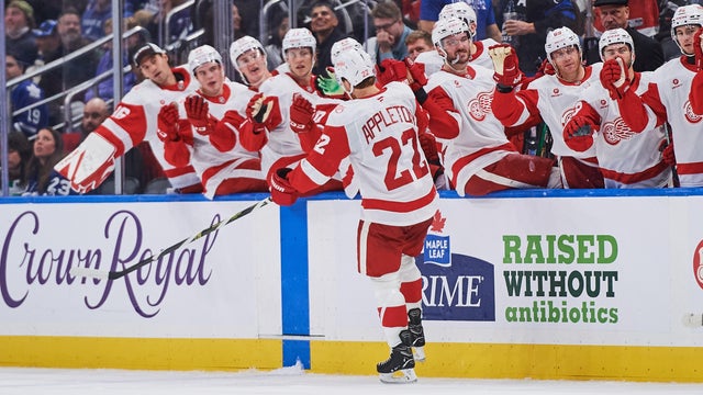 Red Wings Maple Leafs Hockey 