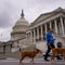 Senate plans 8th vote to reopen government as shutdown drags on