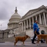 Congressional Lawmakers Continue Work On Funding Bill After Government Shuts Down 