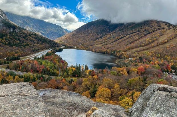 Fall Foliage Drought