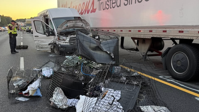 Police lights at a crime scene 