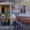 Photos show polar bears getting cozy at abandoned research station