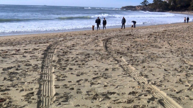 anna-meiler-manchester-by-the-sea-car-in-the-ocean-raw.jpg 
