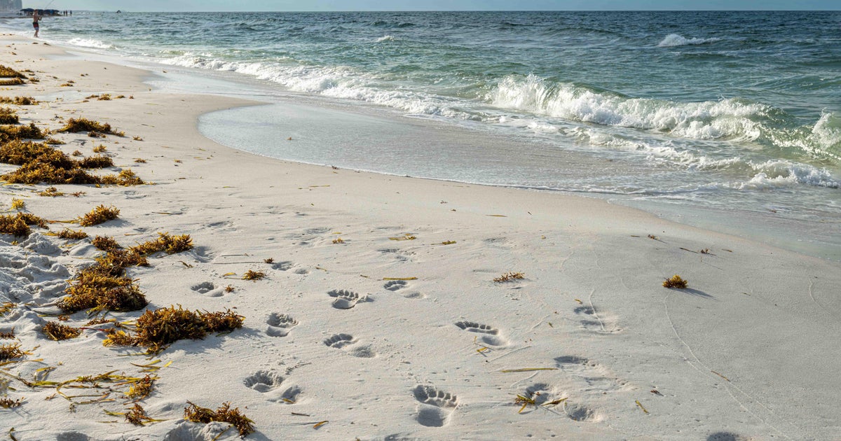 Texas parents arrested after leaving 6-month-old baby alone on Florida beach, sheriff says