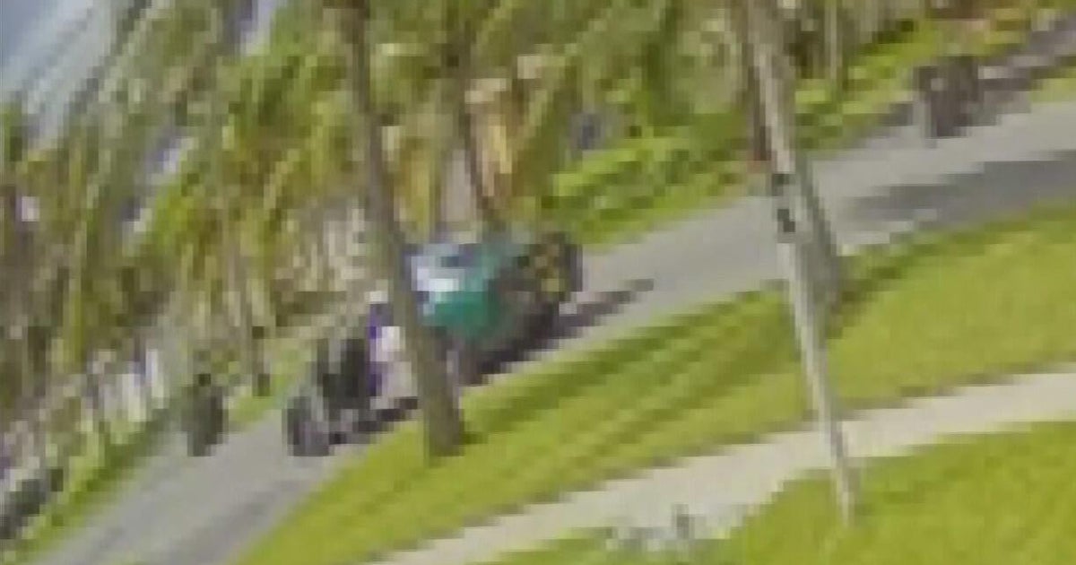Video shows dogs involved in attack of Broward man - CBS Miami