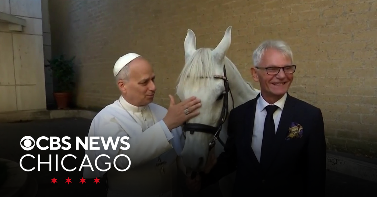 pope-leo-xiv-gifted-horse-by-polish-donor-cbs-chicago