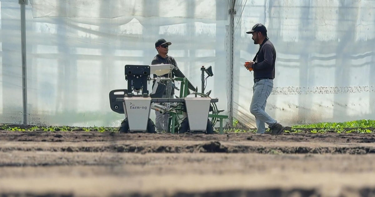 Farmers look to robots for field work as immigration raids upend labor