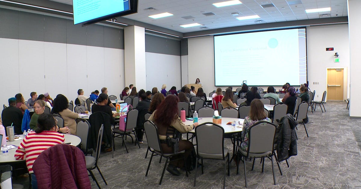 Hennepin County addresses domestic violence and survivor support at summit – CBS News