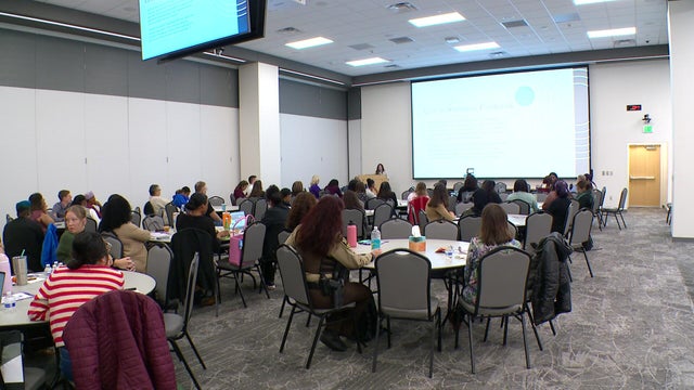4p-vo-hcao-domestic-violence-wcco908u.jpg 