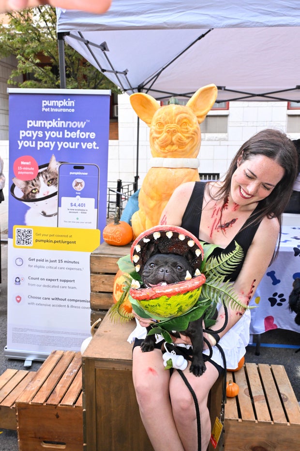 Pumpkin Pet Insurance x Tompkins Square Halloween Dog Parade in NYC
