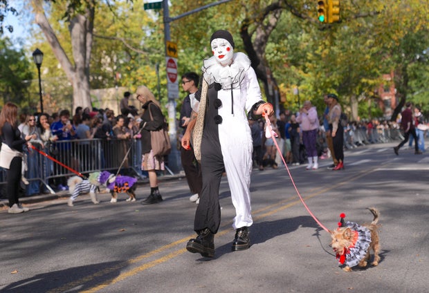 Halloween Dog Parade in NYC