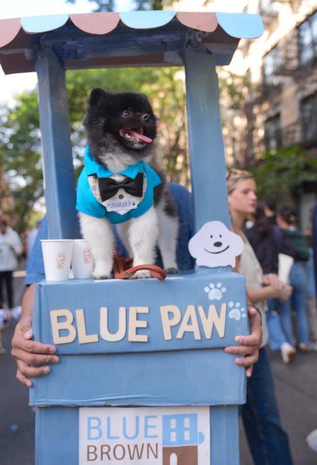 Halloween Dog Parade in NYC