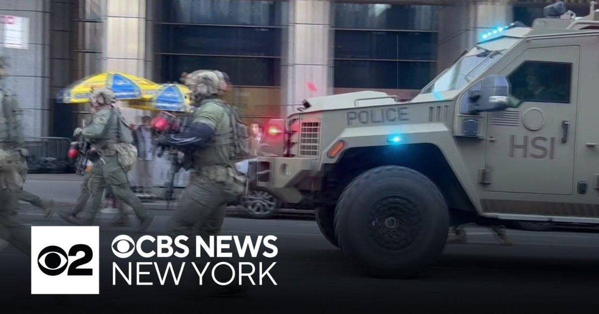DHS Conducts ICE-Led Raids on NYC Canal Street Vendors Amid Protests