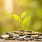 How much interest can you earn with a high-yield savings account now?
