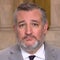 Ted Cruz says government shutdown inflicting pain on federal workers "for no point whatsoever"