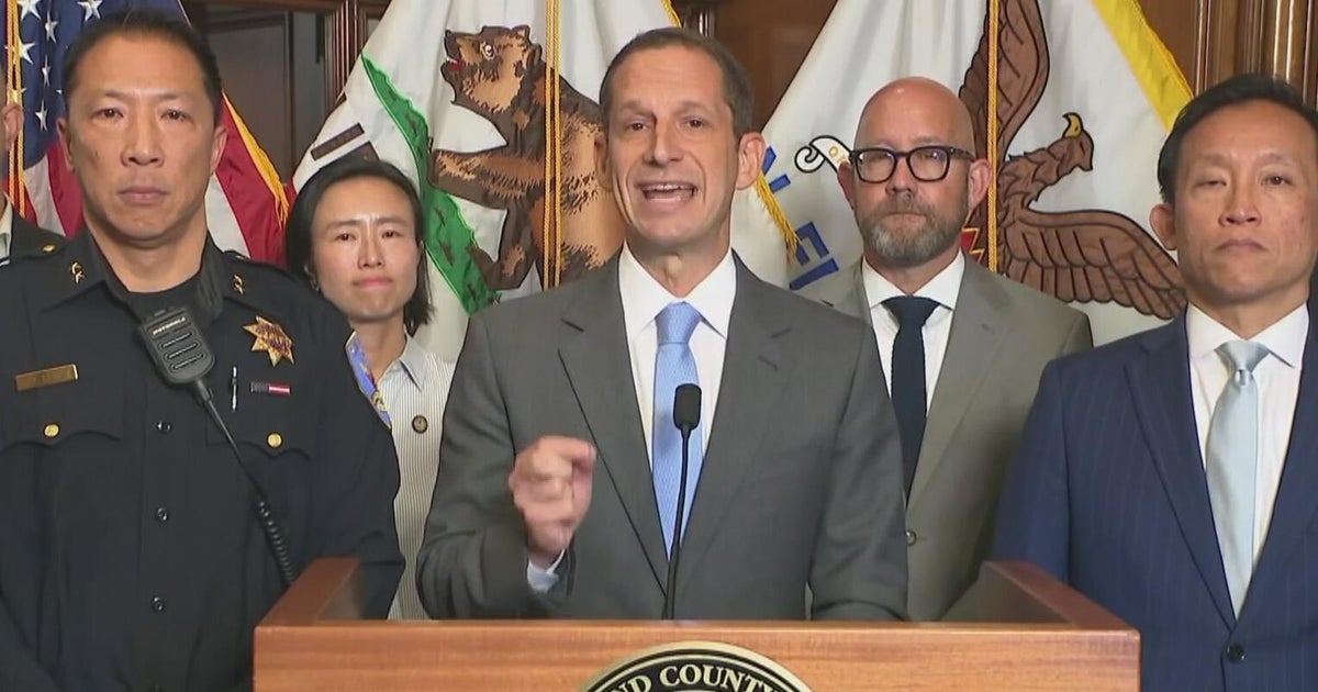 Bay Area Protests Erupt as Federal Immigration Enforcement Surges Amid Leadership Concerns