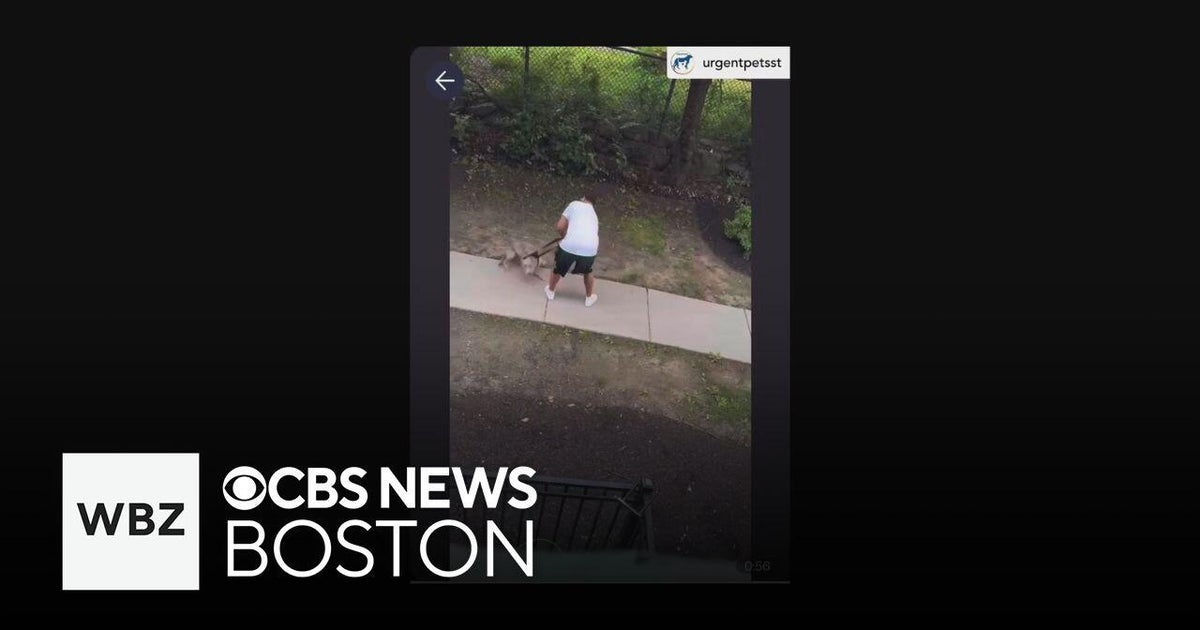 Man arraigned on animal cruelty charges after video allegedly shows dog ...