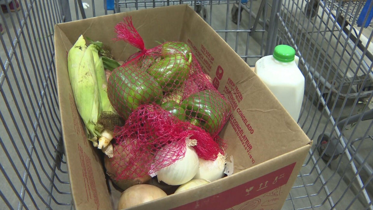 Gov. Polis asks Colorado lawmakers for $10M amid SNAP benefits ...