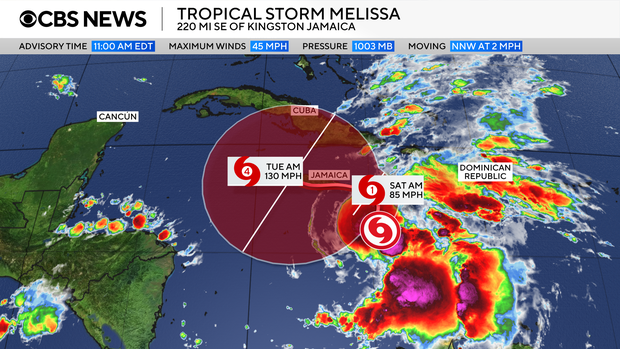 melissa.png 