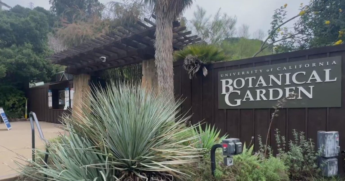 UC Berkeley Botanical Garden houses crucial seed bank to preserve biodiversity