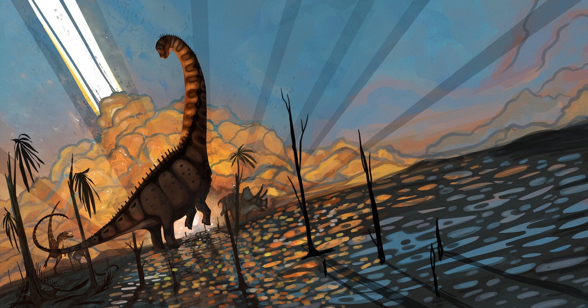 Fossils reveal dinosaurs had been thriving in North America simply earlier than being worn out by asteroid strike, research reveals