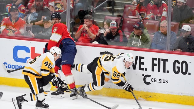 Penguins Panthers Hockey 