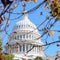 Government shutdown hits Day 24 with no deal in sight