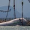 Cargo plane wreckage recovered days after deadly crash