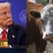 U.S. farmers say they're disappointed with Trump's plan to import beef from Argentina