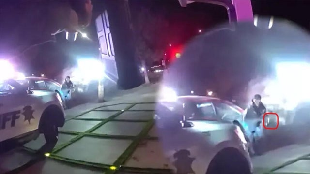 lights logo, police logo, crime logo,