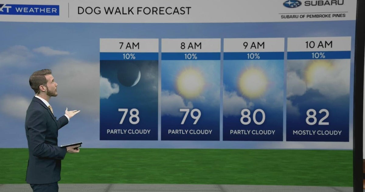 Two cold fronts on the way to South Florida, bringing first real taste ...
