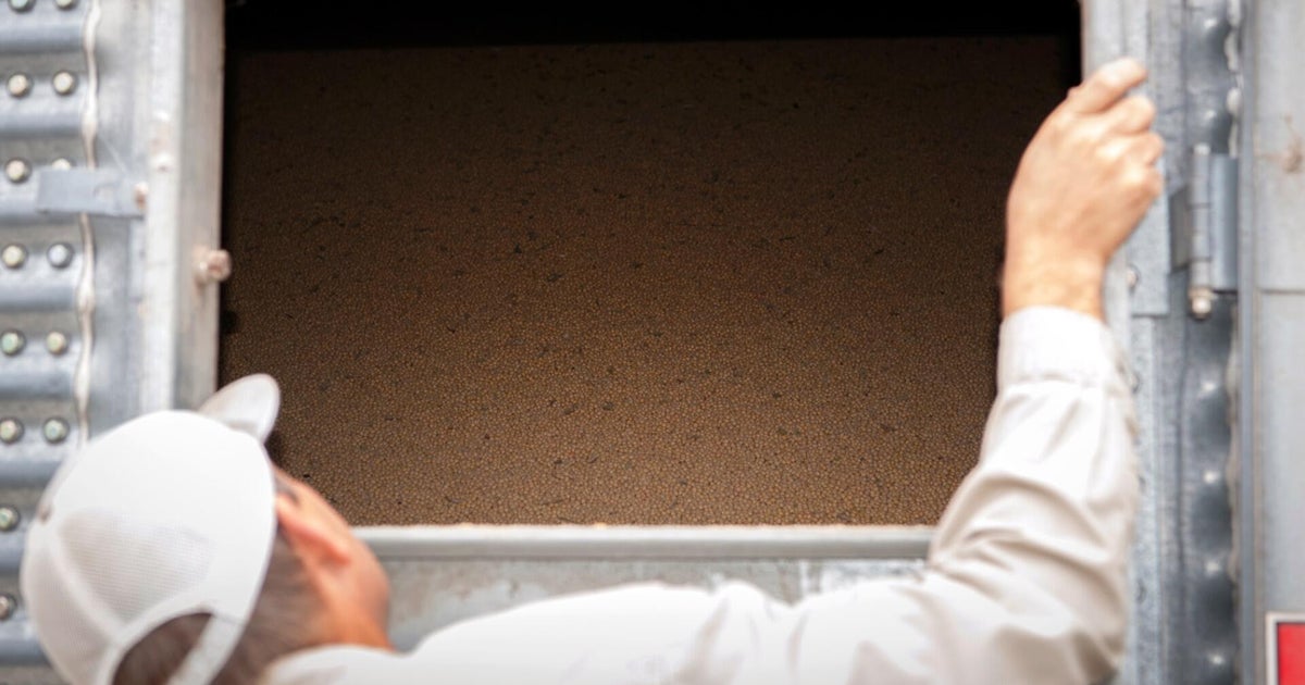 U.S. soybean farmers hope for relief ahead of Trump's meeting with Xi Jinping