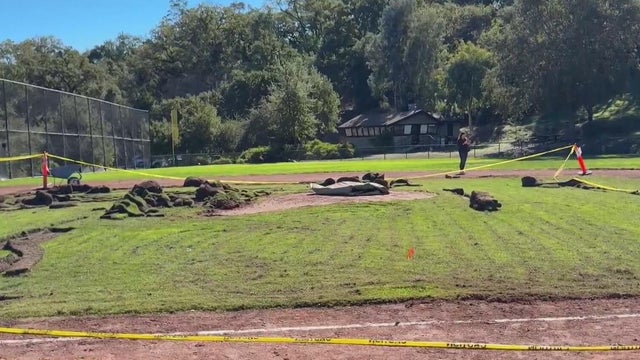 lafayette basball field softball expansion